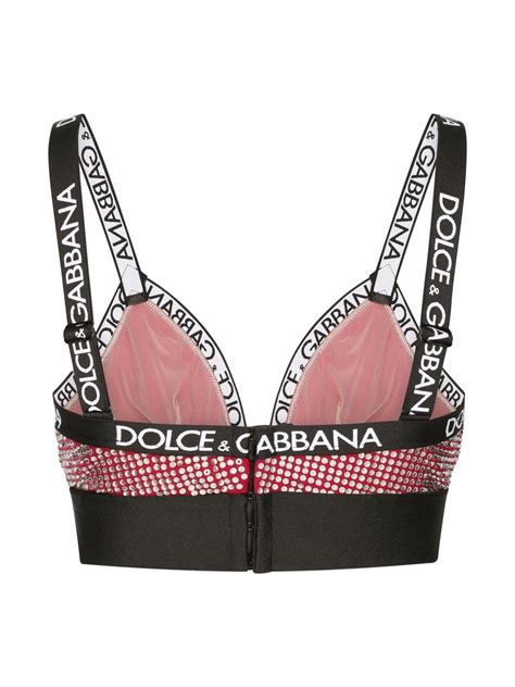 dolce and gabbana bras